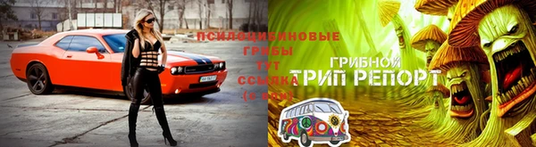 марихуана Белокуриха